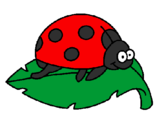 Coloring page Ladybird on a leaf painted byariana