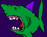 Coloring page Shark painted bymoshi count