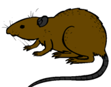 Coloring page Underground rat painted byrandal