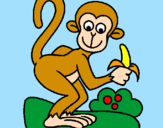 Coloring page Monkey painted byDANI