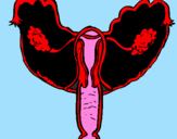 Coloring page Vagina painted bymis pulmones