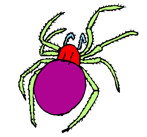 Poisonous spider