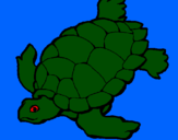 Coloring page Turtle painted byesujs