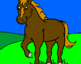 Coloring page Horse painted bybeth
