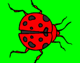 Coloring page Ladybird painted bylarita