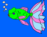 Coloring page Tancho fish painted byKayla