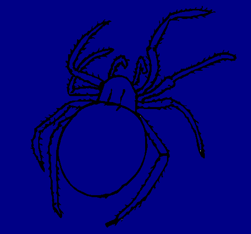 Poisonous spider