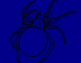 Coloring page Poisonous spider painted bywidow   