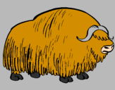 Coloring page Bison painted by385 000012350.68