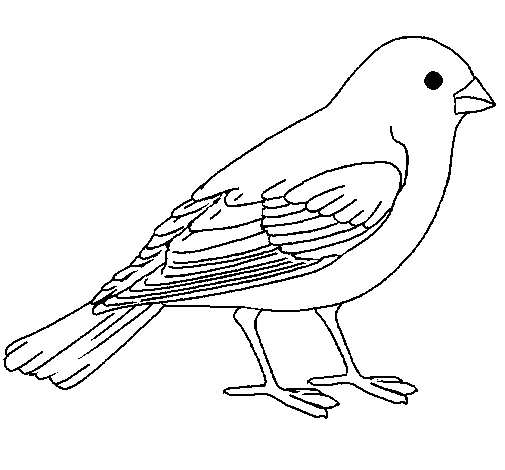 Coloring page Sparrow painted byyuan
