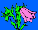 Coloring page Wild flowers painted byashley#sara