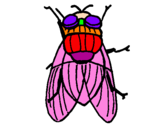 Coloring page Black fly painted byvicente