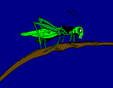 Coloring page Grasshopper on branch painted bymaximo
