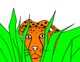 Coloring page Cheetah painted bysamanta