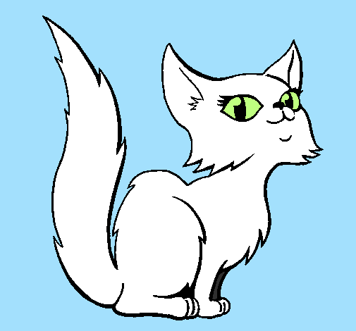 Female Persian cat