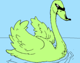 Coloring page Swan in water painted byMarga