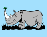 Coloring page Rhinoceros and butterfly painted bySara