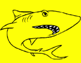 Coloring page Shark painted bynFFFDrFFFD