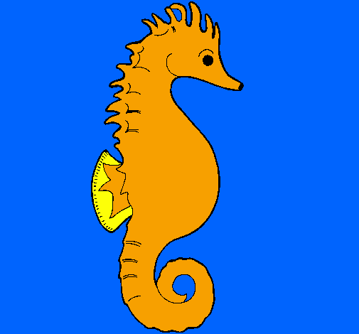 Sea horse