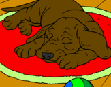 Coloring page Sleeping dog painted byolivia