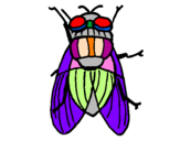 Coloring page Black fly painted byDixie 