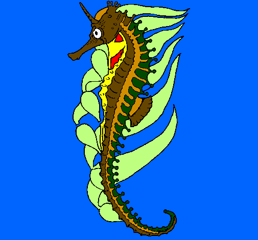 Oriental sea horse