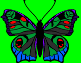 Coloring page Butterfly painted byxox
