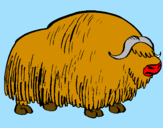Coloring page Bison painted bydavid