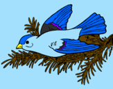 Coloring page Swallow painted bymarina