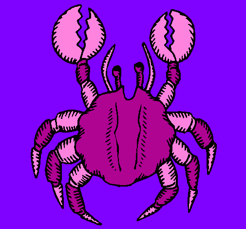 Crab with large pincers