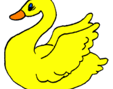 Coloring page Swan painted byDuck