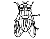 Coloring page Black fly painted byyuan