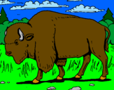 Coloring page Buffalo painted byblue4eve
