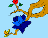 Coloring page Almond flower painted byMarga