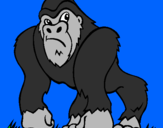 Coloring page Gorilla painted byL.J.