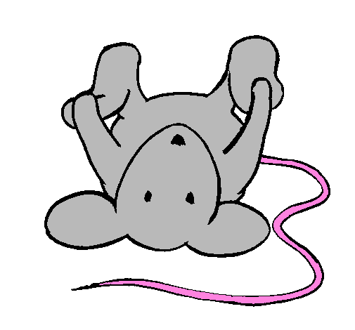 Coloring page Rat lying down painted byplaying mouse