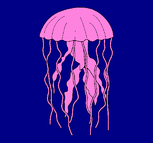 Coloring page Jellyfish painted byLinda