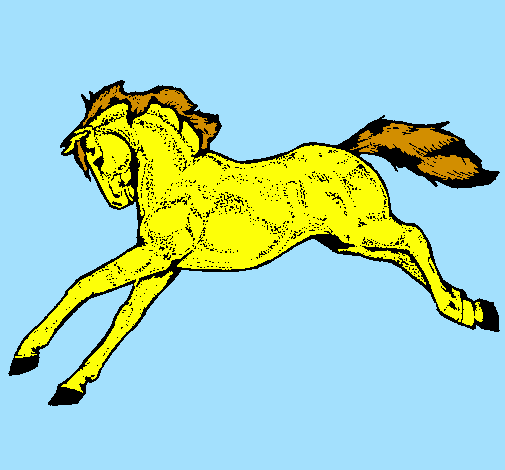 Horse running