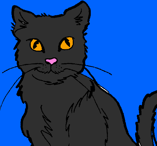 Coloring page Cat painted bysarah