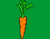 Coloring page carrot painted bySandy