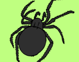 Coloring page Poisonous spider painted bysavannah