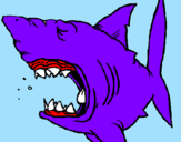 Coloring page Shark painted byasdrubal