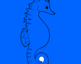 Coloring page Sea horse painted by08515815506uez p