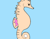 Coloring page Sea horse painted byChelsea