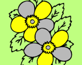 Coloring page Flowers painted byanna
