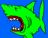 Coloring page Shark painted byn%uFFFDra
