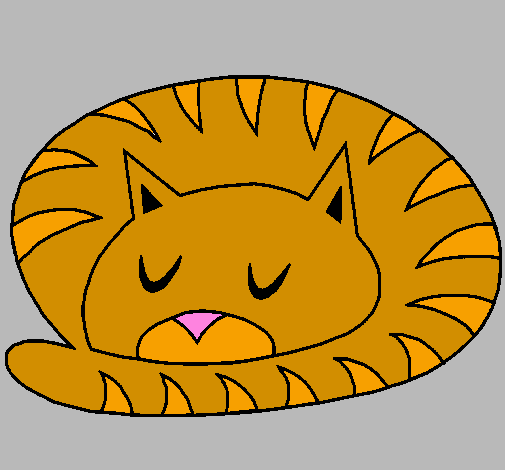 Sleeping cat