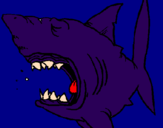Coloring page Shark painted byzoli