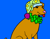 Coloring page Clown dog painted byRutuja