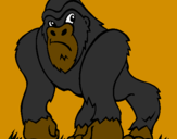 Coloring page Gorilla painted byindian